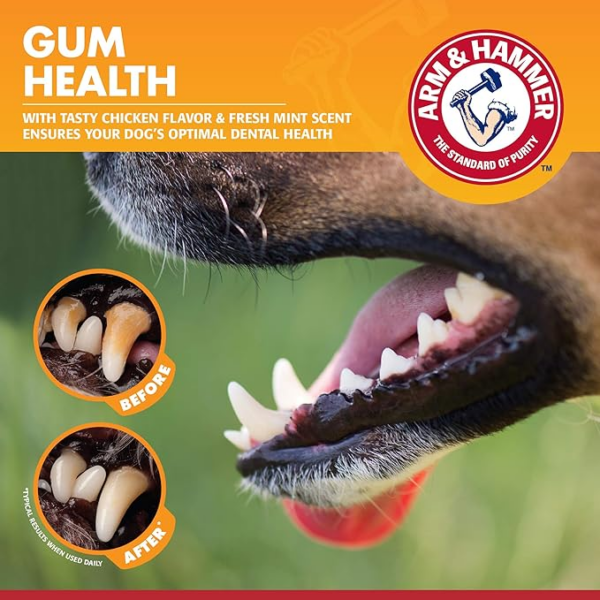 dog dental care kit