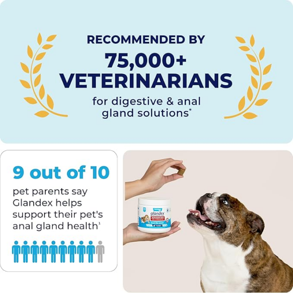 dog anal gland health