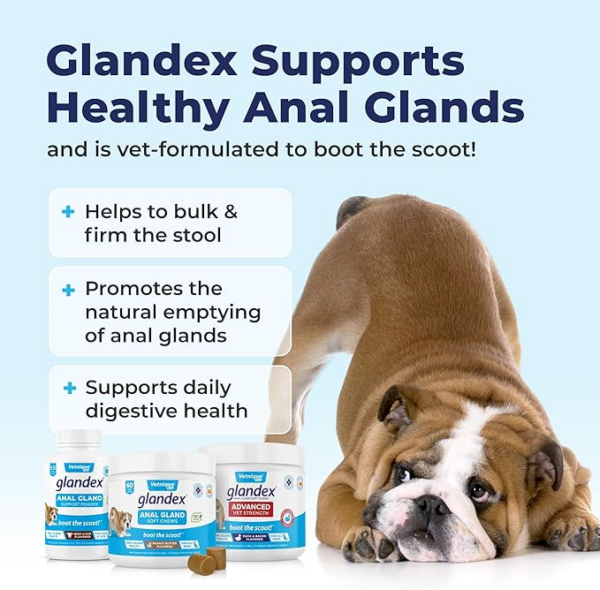 Anal Gland Soft Chew (Glandex) - Image 3