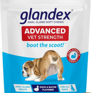 dog anal gland health