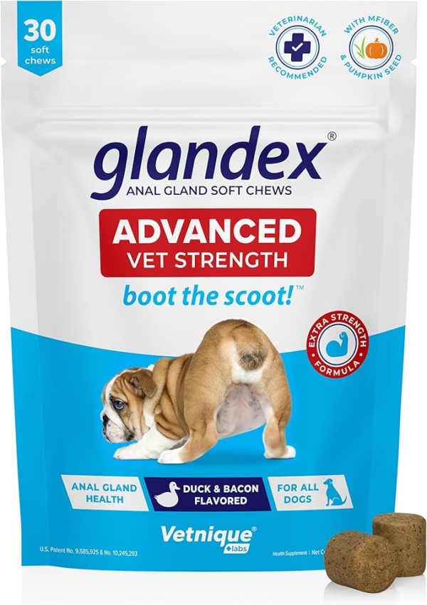 dog anal gland health