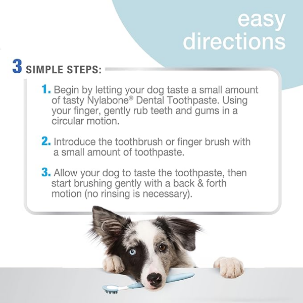 Advanced Oral Care Dog Toothpaste (Nylabone) - Image 3