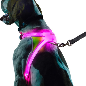 illuminated dog safety harness