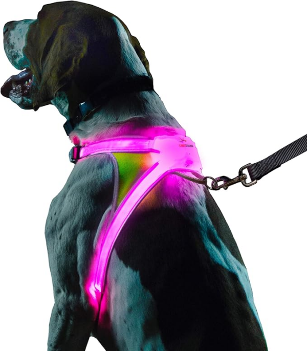 illuminated dog safety harness