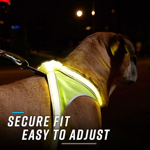 illuminated dog safety harness