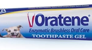 brushless pet toothpaste gel