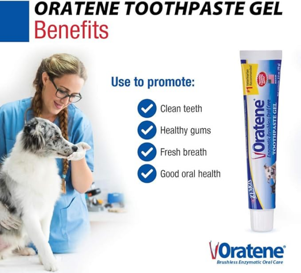 brushless pet toothpaste gel