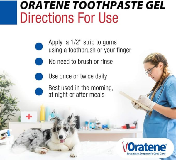 brushless pet toothpaste gel