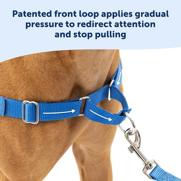 Easy Walk Dog Harness (PetSafe) - Image 2