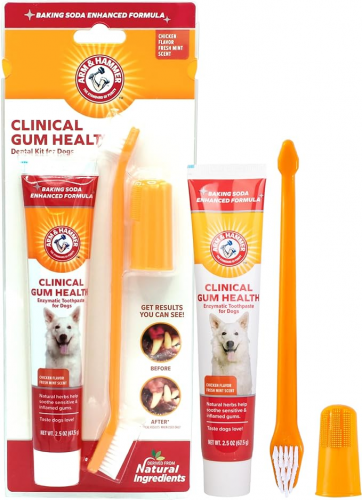 dog dental care kit